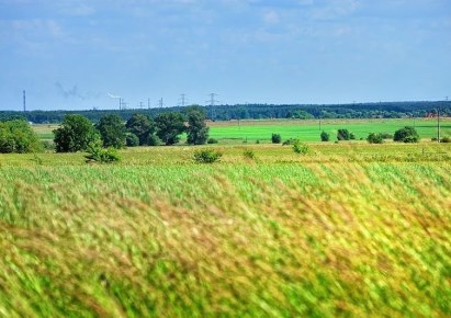 działka na sprzedaż - Nowe Warpno (gw), Brzózki