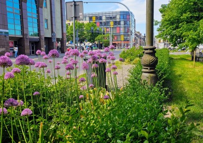 mieszkanie na sprzedaż - Szczecin, Centrum