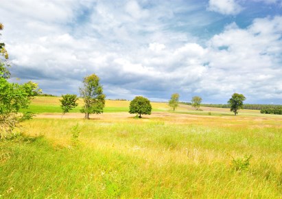 działka na sprzedaż - Stare Czarnowo, Dobropole Gryfińskie