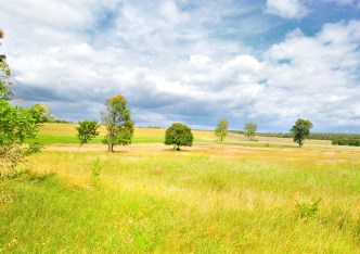 działka na sprzedaż - Stare Czarnowo, Dobropole Gryfińskie