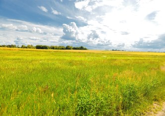 działka na sprzedaż - Stare Czarnowo, Dobropole Gryfińskie