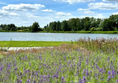 działka na sprzedaż - Banie