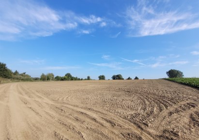 działka na sprzedaż - Stare Czarnowo, Żelisławiec